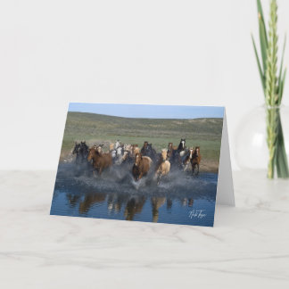 Stänk! anteckningskort