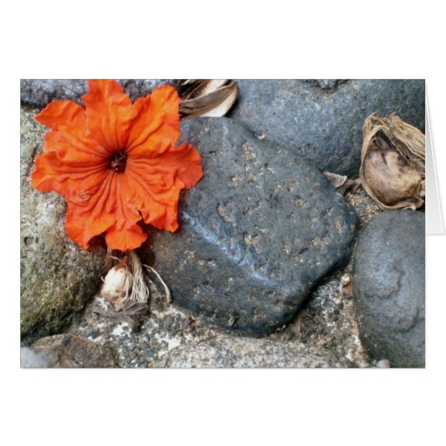 STÄNK i FÄRG Hälsningskort (Framsidan Horizontal)