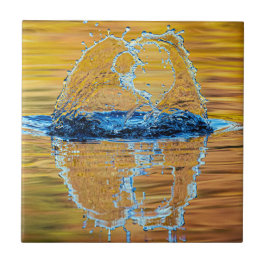 Stänk på en fallkväll kakelplatta