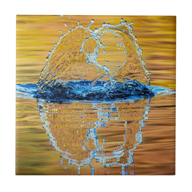 Stänk på en fallkväll kakelplatta (Framsidan)