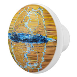 Stänk på en fallkväll knopp