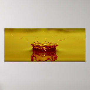 Stänk Poster