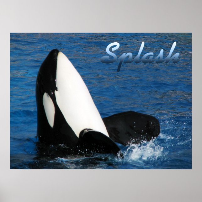 Stänk Poster (Framsidan)