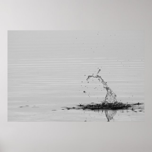 Stänk Poster (Framsidan)