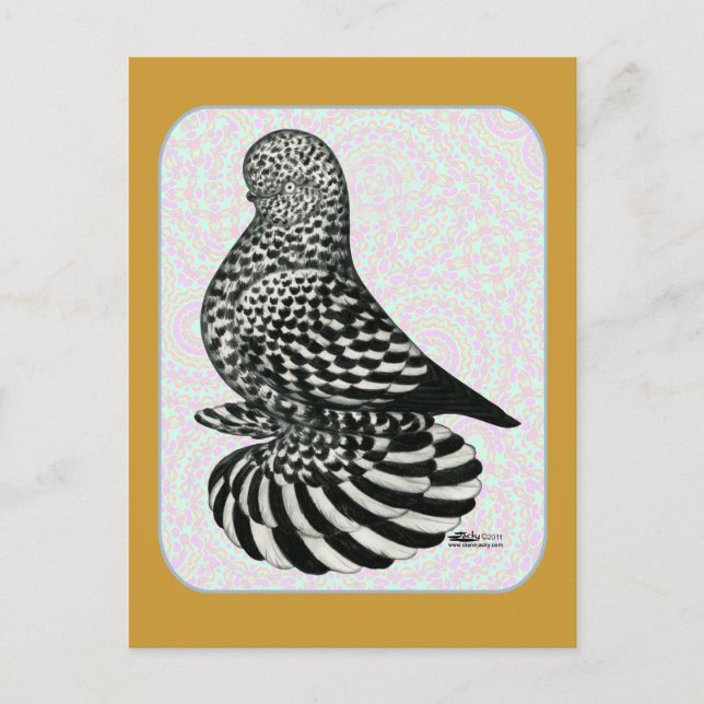 Stänk Tumbler Färg Vykort (Framsida)