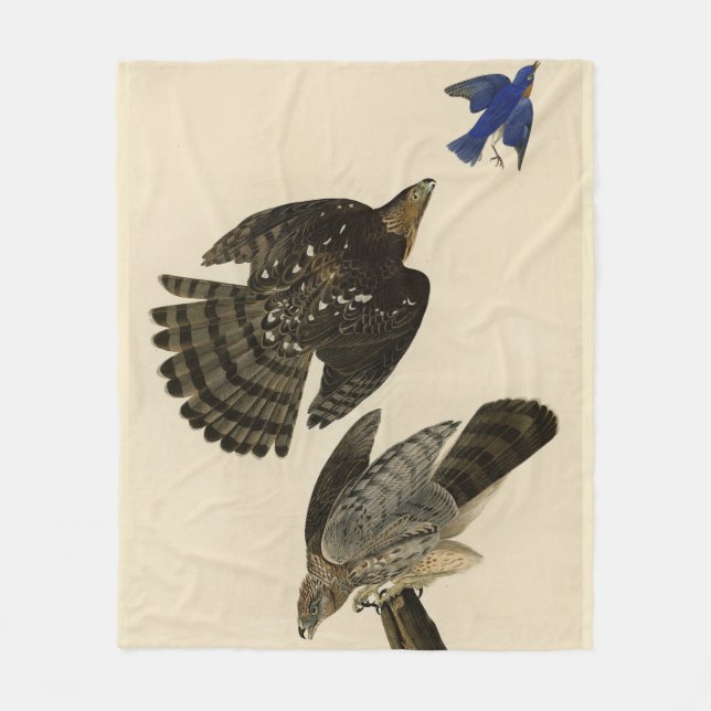 Stanley (Cooper's) Hawk Audubon's Birds of America Fleecefilt (Framsidan)