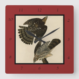 Stanley (Cooper's) Hawk Audubon's Birds of America Fyrkantig Klocka