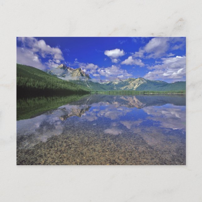 Stanley Lake i Sawtooth-bergen i Idaho Vykort (Framsida)