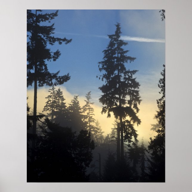 Stanley Park, skog, marint dimlager rullar in Poster (Framsidan)