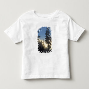 Stanley Park, skog, marint dimlager rullar in Tee