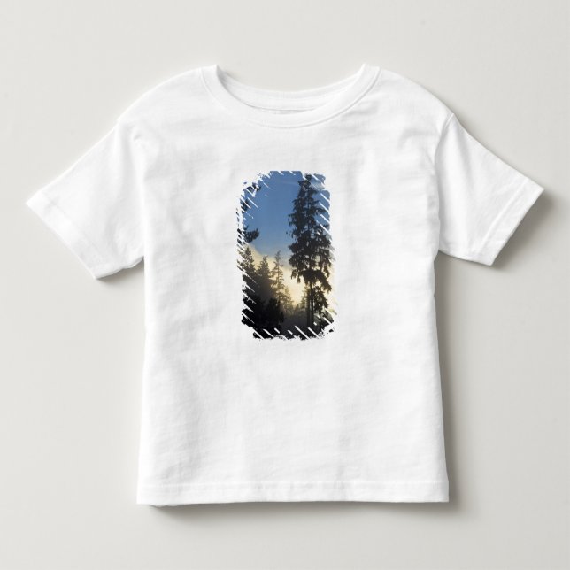 Stanley Park, skog, marint dimlager rullar in Tee (Framsida)