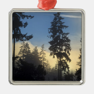 Stanley Park, skog, marint dimmoln rullar in Julgransprydnad Metall