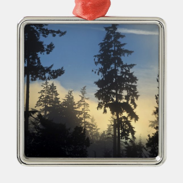 Stanley Park, skog, marint dimmoln rullar in Julgransprydnad Metall (Framsidan)