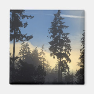 Stanley Park, skog, marint dimmoln rullar in Magnet