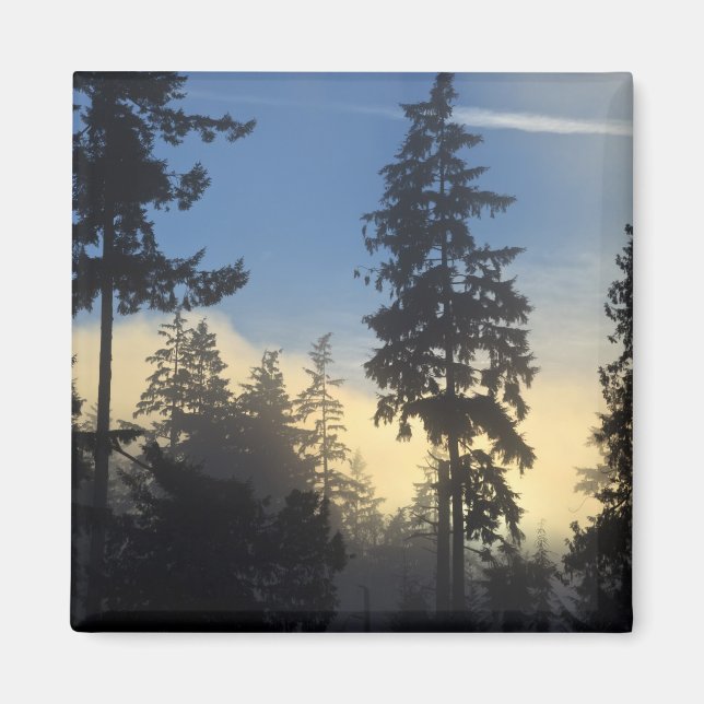 Stanley Park, skog, marint dimmoln rullar in Magnet (Framsidan)