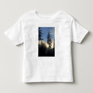 Stanley Park, skog, marint dimmoln rullar in T Shirt