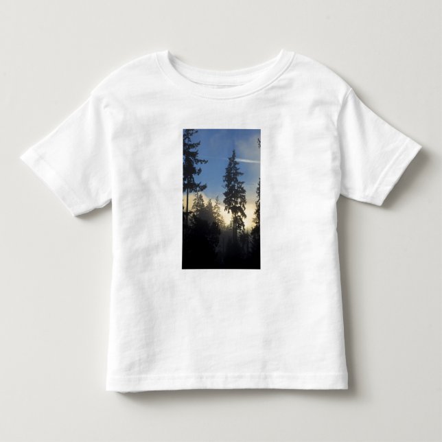 Stanley Park, skog, marint dimmoln rullar in T Shirt (Framsida)