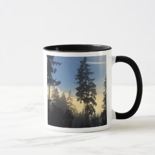 Stanley Park, skogen, marin lagrar-dimma som rulla Mugg