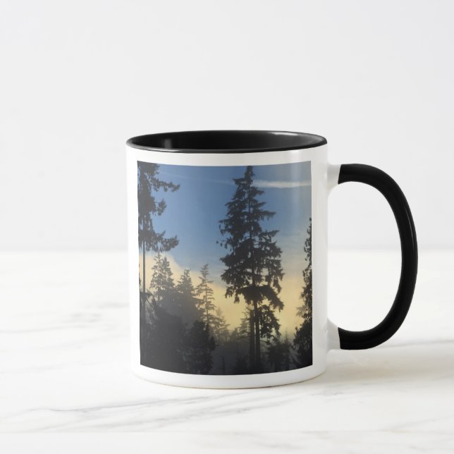 Stanley Park, skogen, marin lagrar-dimma som rulla Mugg (Höger)