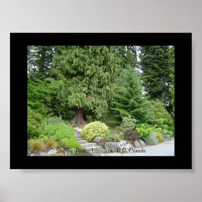 Stanley Park, Vancouver B.C. Poster (Framsidan)