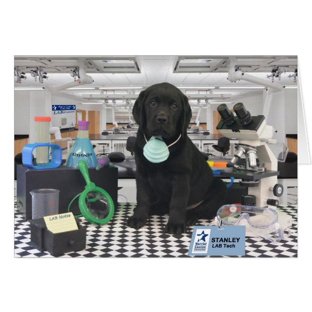 Stanley vecka 8 hälsningskort (Framsidan Horizontal)