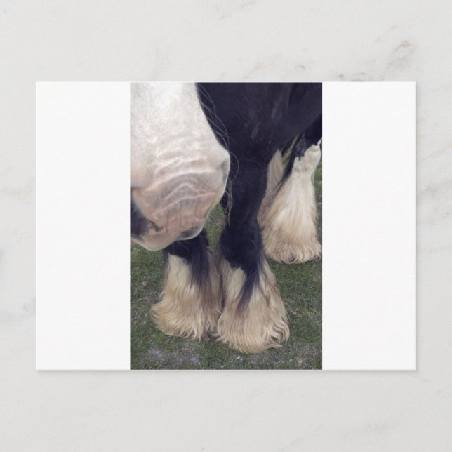 Stanley Vykort (Framsida)