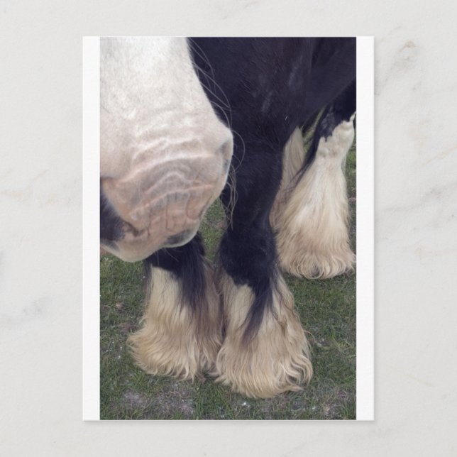 Stanley Vykort (Framsida)