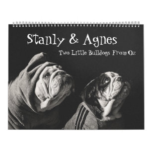 Stanly & Agnes - två små bullhundar från Oz Kalender