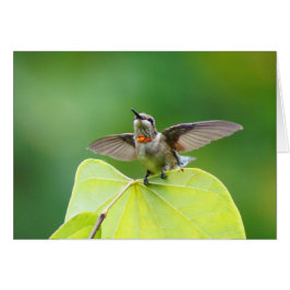 Stanna bara! hälsningskort