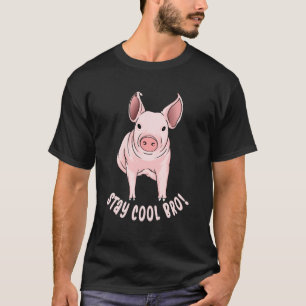 Stanna Coola Bro Funny Gris T Shirt