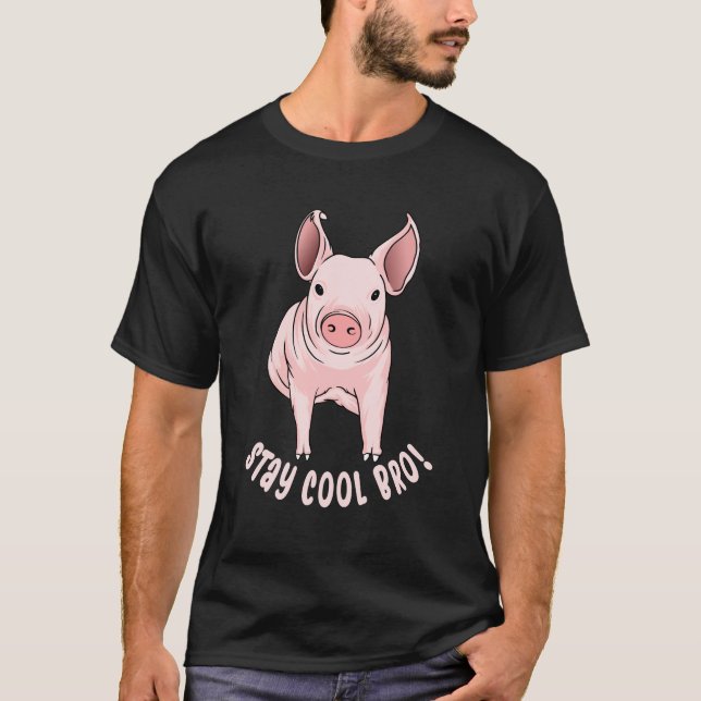 Stanna Coola Bro Funny Gris T Shirt (Framsida)