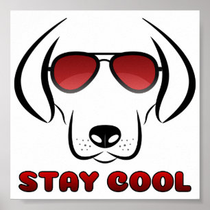 Stanna Coola - Hund Poster