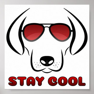 Stanna Coola - Hund Poster