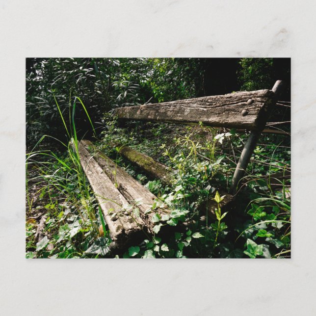 Stanna ett tag vykort (Framsida)