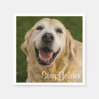 "Stanna Golden" Golden Retriever Cocktail Napkins Pappersservett