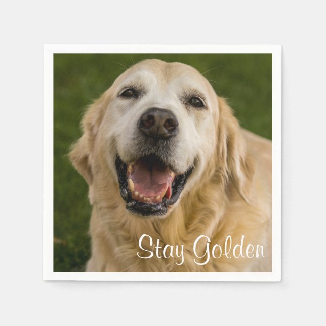 "Stanna Golden" Golden Retriever Cocktail Napkins Pappersservett (Framsidan)