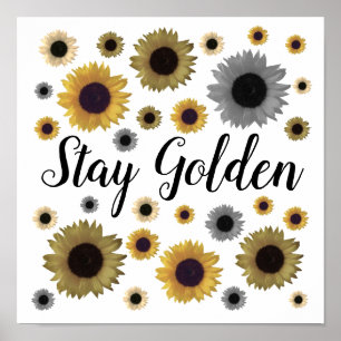 Stanna Golden, Solros Poster