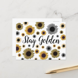 Stanna Golden, Solros Vykort