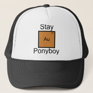 Stanna Guld Ponyboy Element Puns Keps