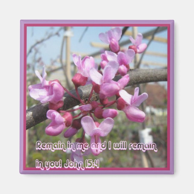 Stanna i mig... magnet (Framsidan)