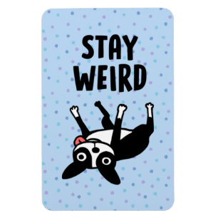 Stanna Konstig Funny Boston Terrier Hund Magnet