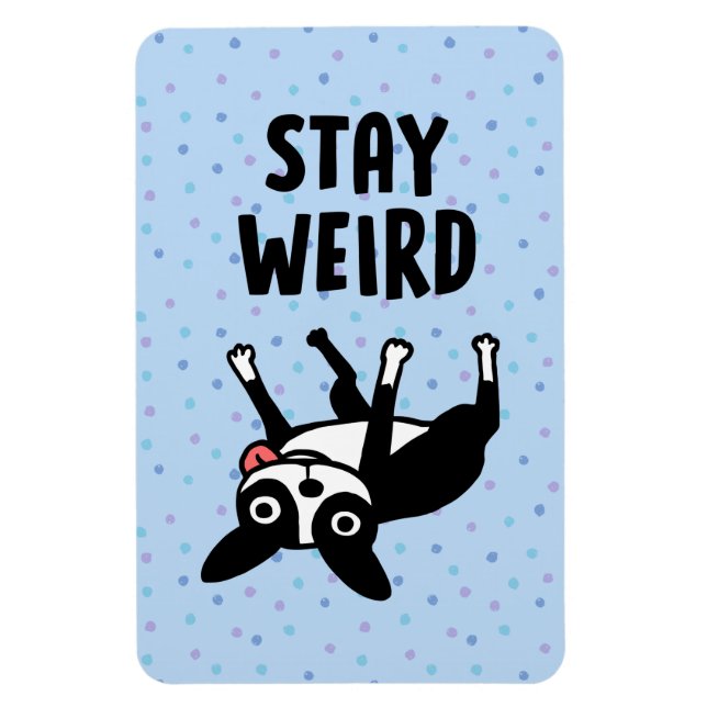 Stanna Konstig Funny Boston Terrier Hund Magnet (Vertikal)