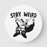Stanna Konstig Funny Boston Terrier Hund