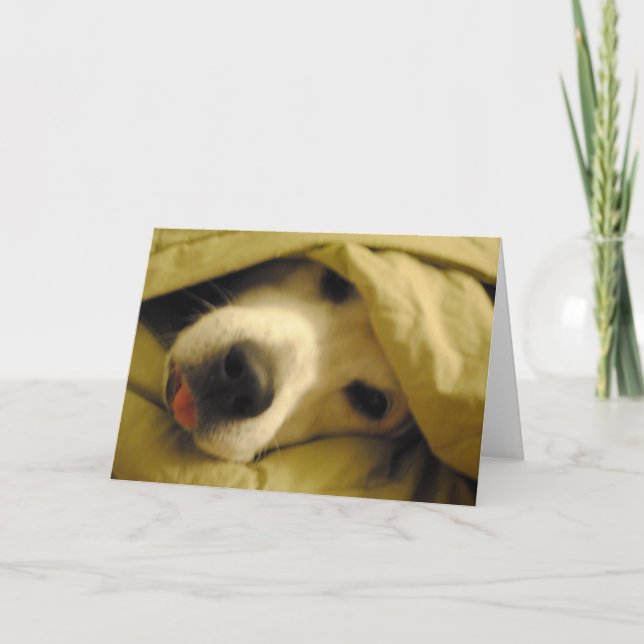 stanna kvar i sängen tills tuesday kort (Framsida)