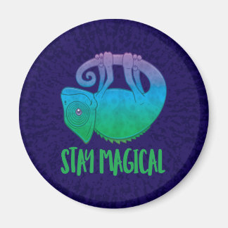 Stanna Magic Levitating Chameleon Magnet