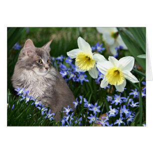 Stanna och lukta blommorna hälsningskort