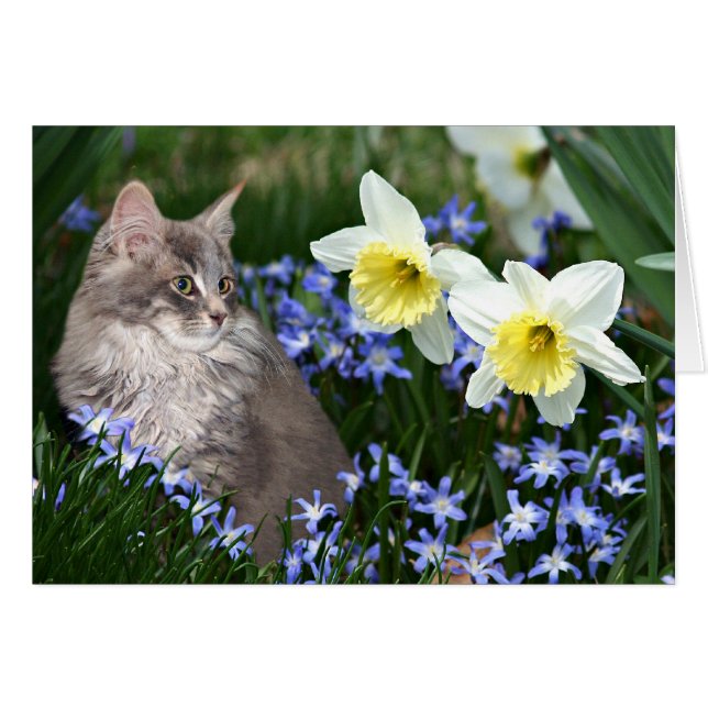 Stanna och lukta blommorna hälsningskort (Framsidan Horizontal)