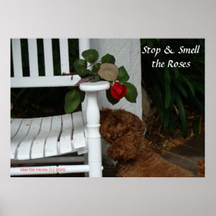 Stanna och Smell Ro Poster