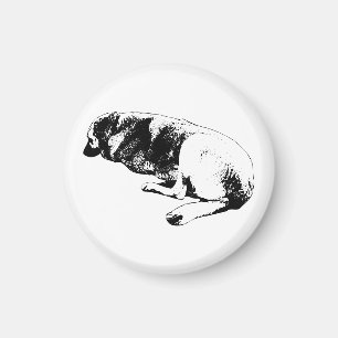 Stanna rätt här magnet