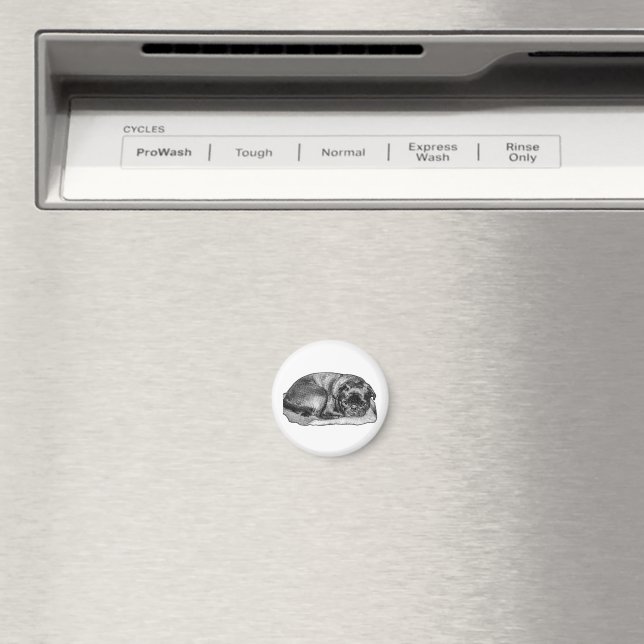 Stanna rätt här magnet (In Situ (Dishwasher))